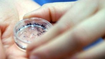 短方案促排后卵子质量如何？