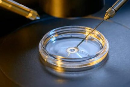 卵巢功能有损只有3个卵泡试管怀孕几率大吗？