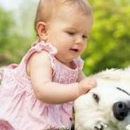 多囊卵巢受孕后容易胎停吗？多囊卵巢容易怀孕吗？