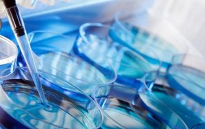 人工受孕大概需要多少钱