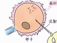 济南私立医院申请试管做试管婴儿单个周期的费用是多少？